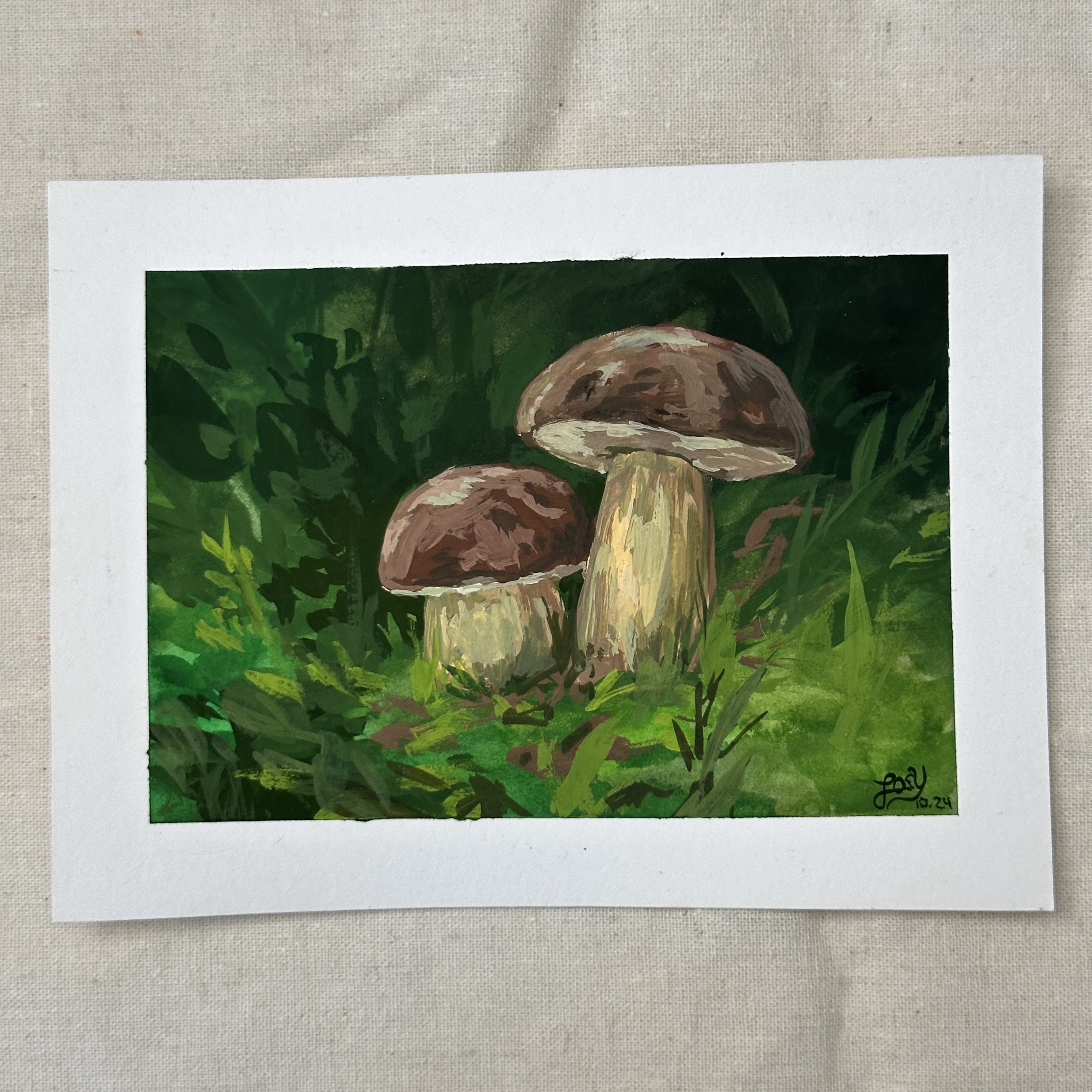 Pilze im grünen Schatten