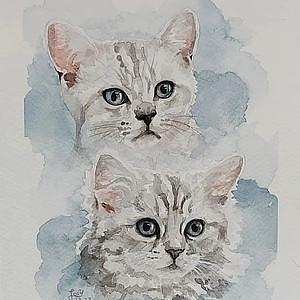 Watercolour