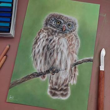 Buntstift & Pastell