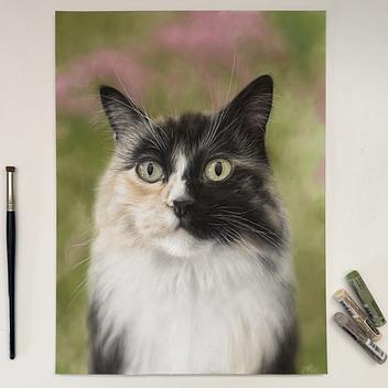 Buntstift & Pastell