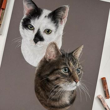 Buntstift & Pastell