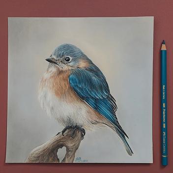 Crayon & Pastel