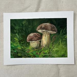 Pilze im grünen Schatten