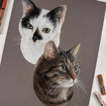 Buntstift & Pastell