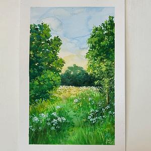 Sommerwiese